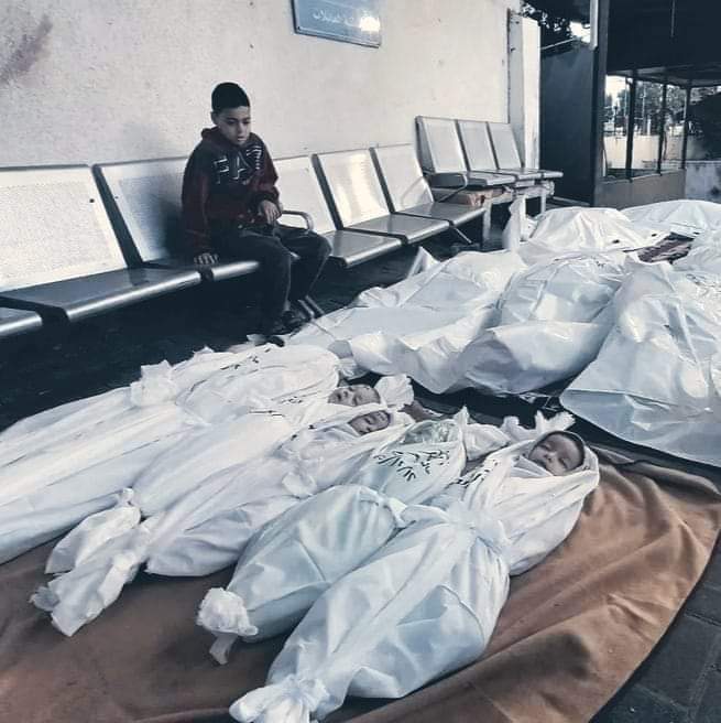 #GazaHolocaust
#ZionistsAreNazis
#FreePalestine
#do_you_condemn_israel
#GazaGenocideIt