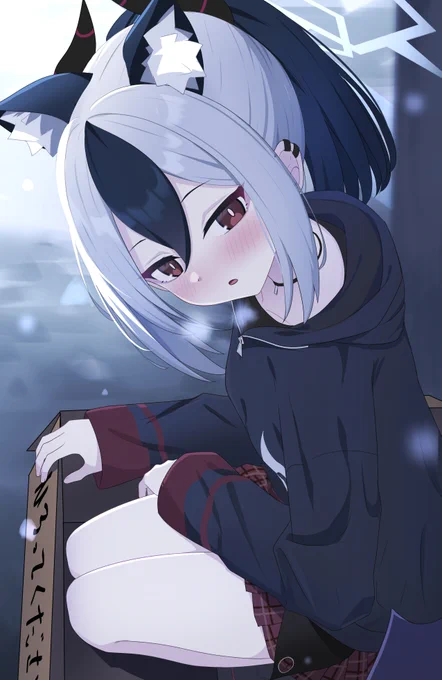 捨て猫カヨコ#ブルアカ 