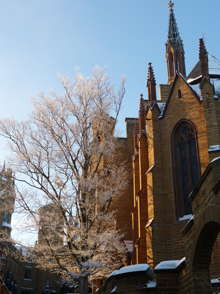 Habt einen guten Tag
#mjlphotos