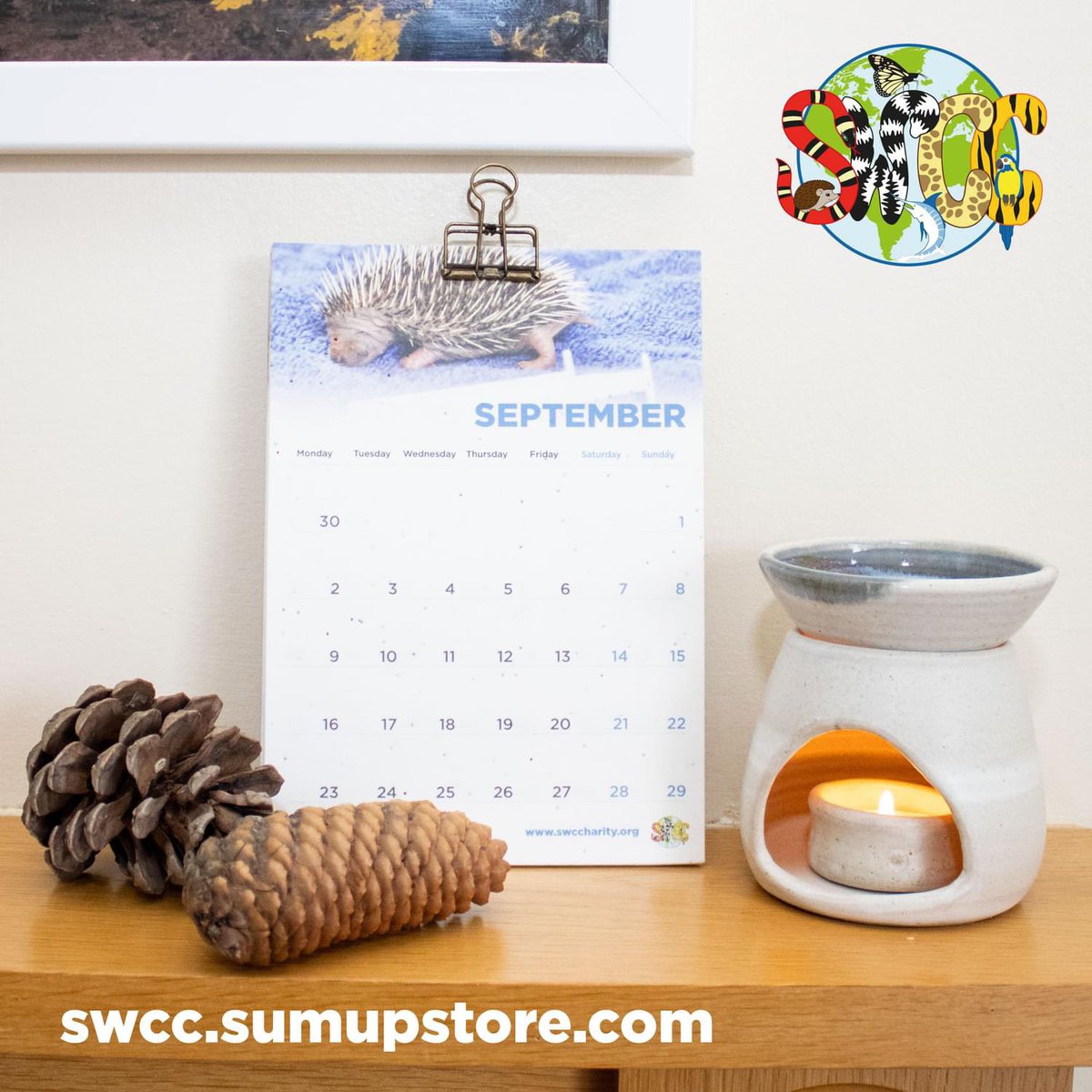 NEW SWCC Hedgehog Hospital calendar is one of the most eco-friendly gifts to give this holiday season: swcc.sumupstore.com/product/swcc-h… It’s printed on A5 paper filled with flower seeds, allowing you to tear&amp;plant it when it’s no longer needed. All proceeds to the Hedgehog Hospital🦔😻