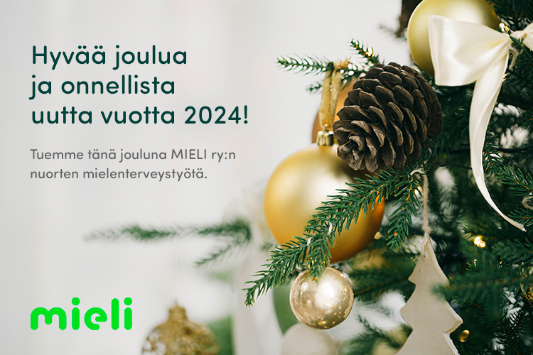Toivotamme kaikille rauhallista joulua ja onnellista uutta vuotta 🎄✨
