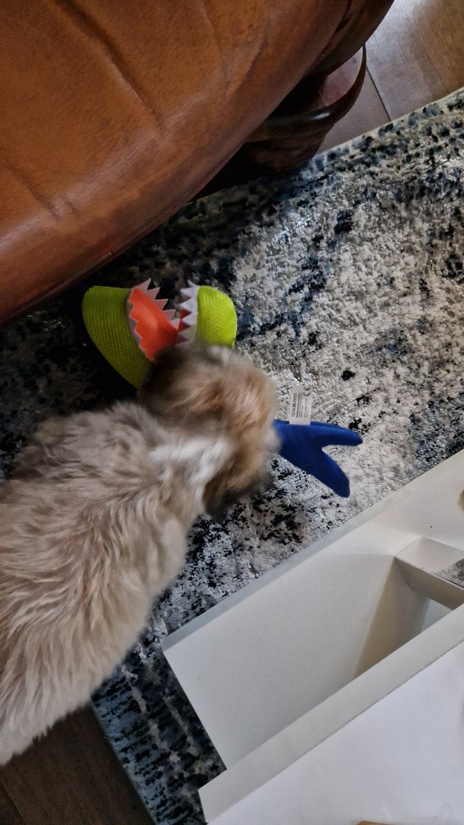 Wulgarny Gracz tweet media