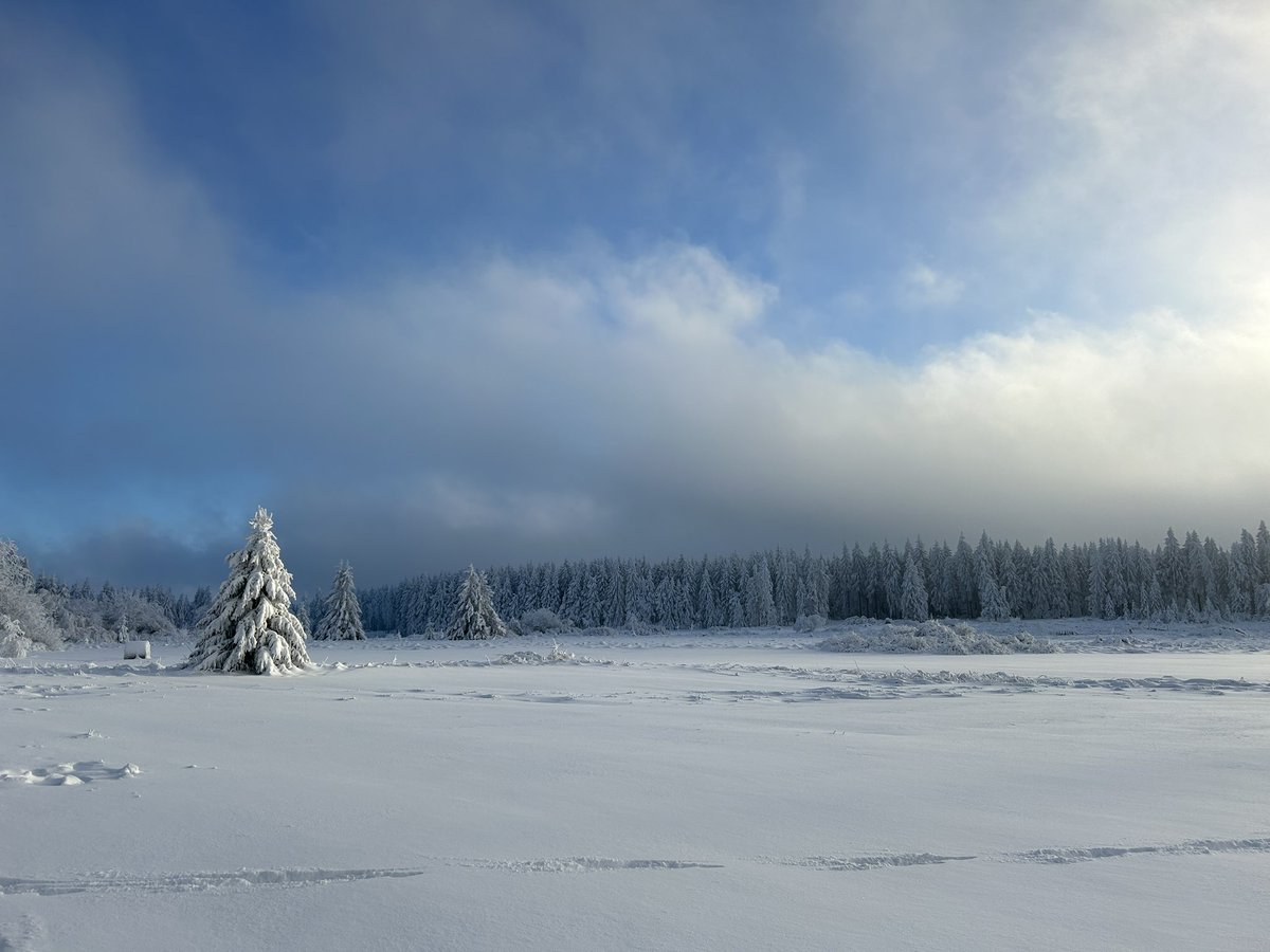 ZDF Landesstudio Mecklenburg-Vorpommern tweet media