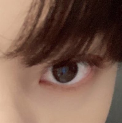 pudeongi tweet picture