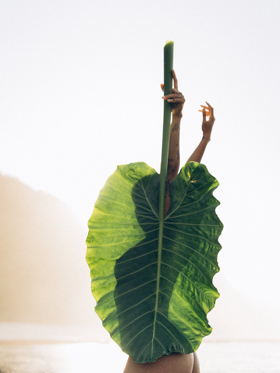 GM 🌿 https://t.co/rVDoccK2hu