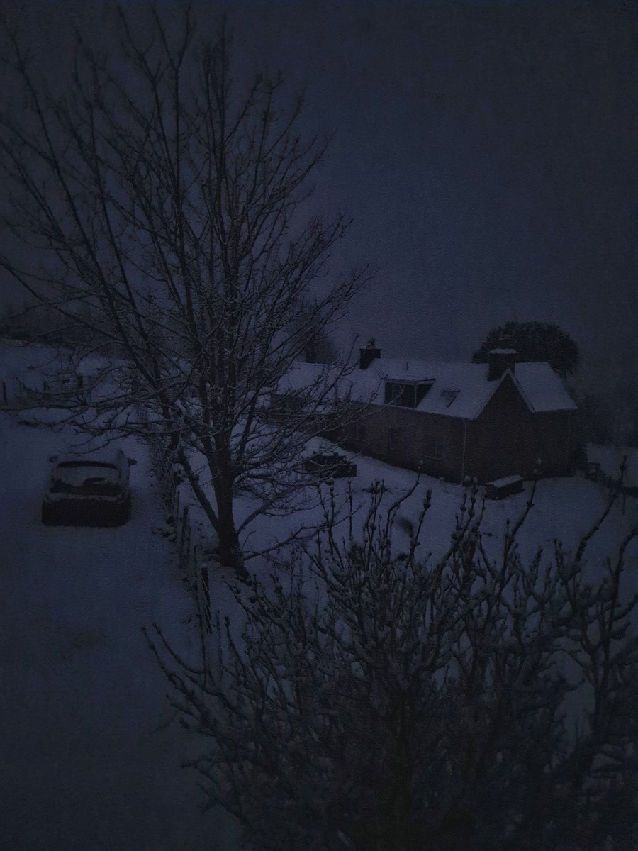 London_Lady's tweet photo. Woke up to this beautiful stuff. #Rogart #Scotland #Snow https://t.co/Ow1gn1PJ26
