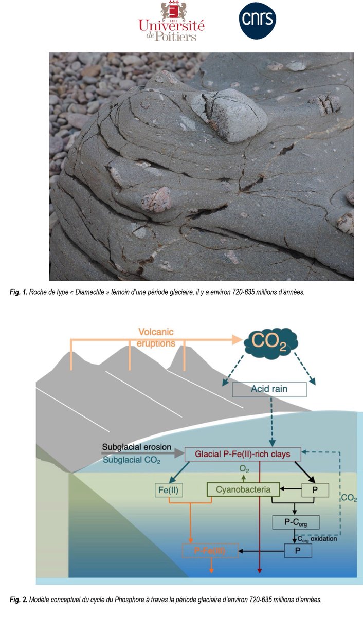 La Recherche Internationale sans Frontières continue. Com Presse. Espérons que le conseil constitutionnel permettra de maintenir l'attractivité internationale de notre ESR <a href="/CNRS/">CNRS 🌍</a> <a href="/CNRS_INSU/">CNRS Terre & Univers</a> <a href="/acpoitiers/">Académie de Poitiers</a> <a href="/NvelleAquitaine/">Nouvelle-Aquitaine</a>  <a href="/virginie_laval/">Virginie LAVAL</a> <a href="/sretailleau/">Sylvie Retailleau</a> <a href="/al_rousset/">Alain Rousset</a> <a href="/afpfr/">Agence France-Presse</a> <a href="/franceinter/">France Inter</a>
