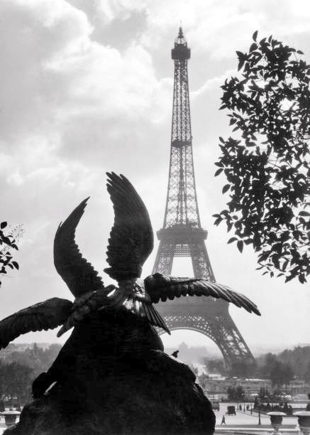 ParisAMDParis's tweet image. H. Armstrong Roberts.
La Tour Eiffel vue du Trocadéro. 
Années 1920. Paris France