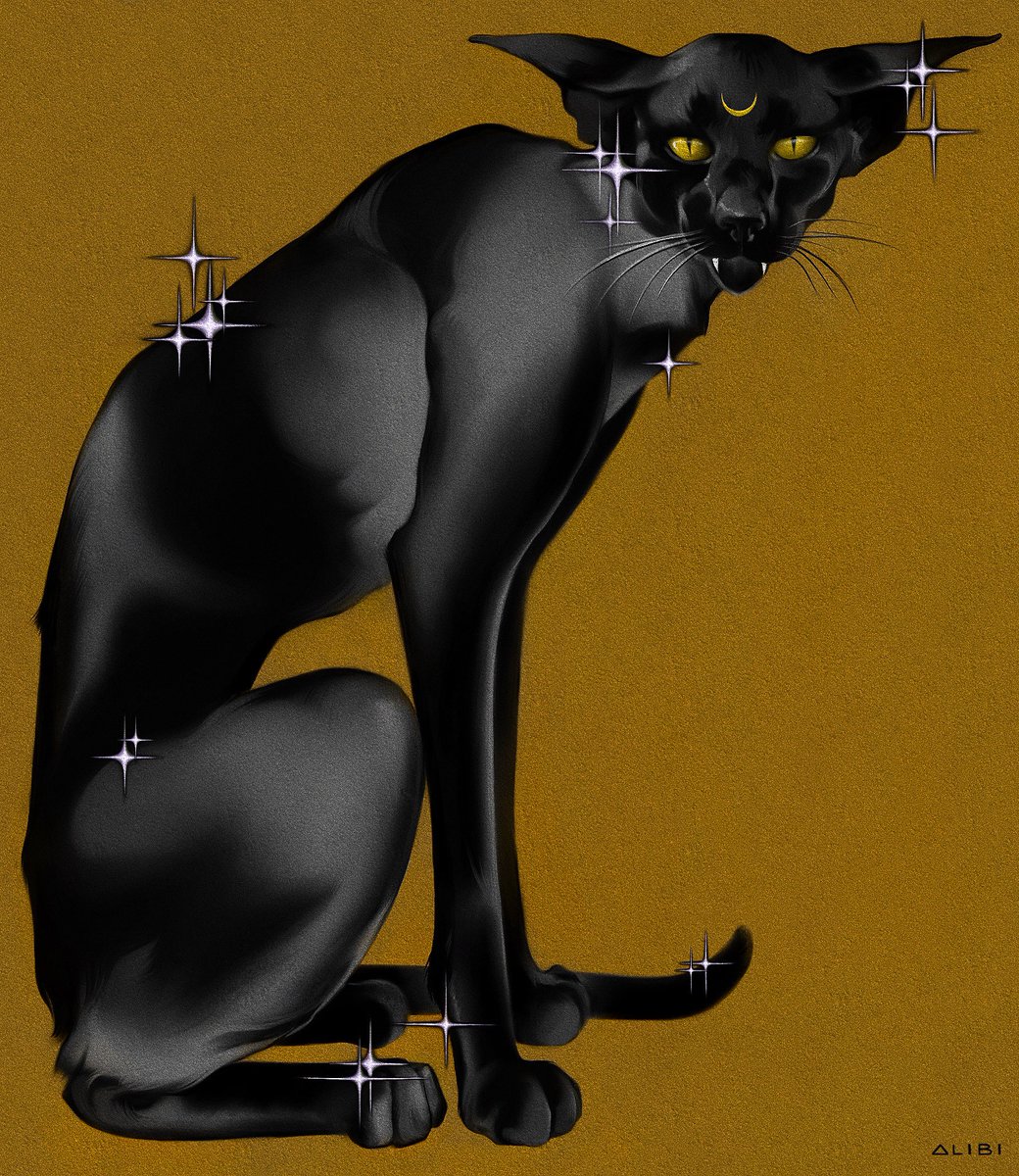 • 𝐀𝐋𝐈𝐁𝐈 • tweet media