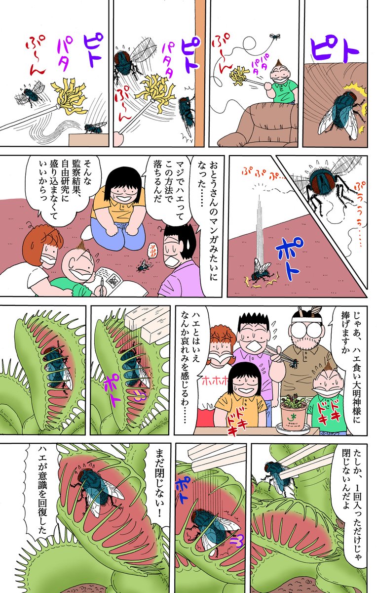 男児 VS 母  その51 2/3
