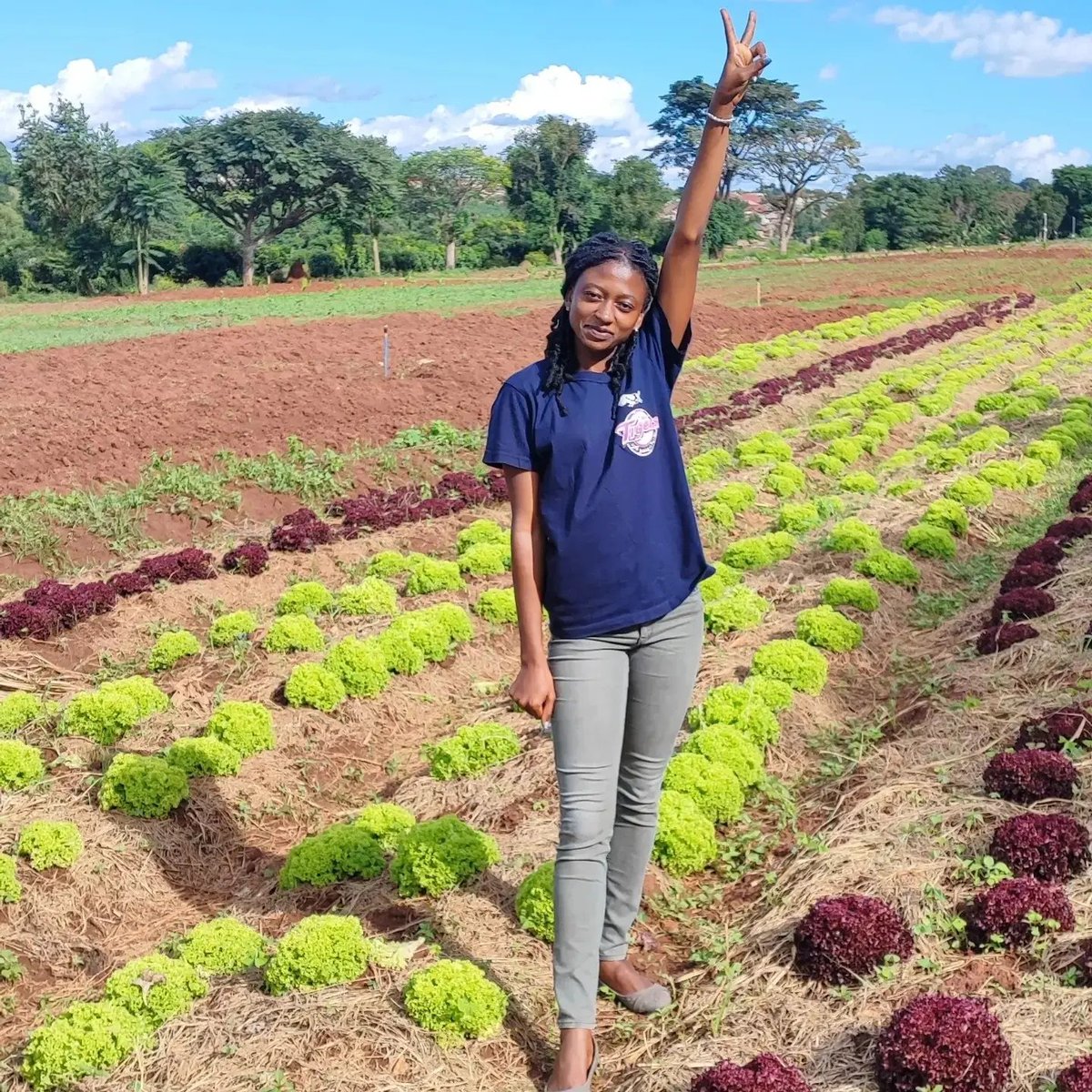 My #Christmas2023 products are ready. 
Eat some vegetables you need a healthy meal #FestiveSeason !!!!!!!!