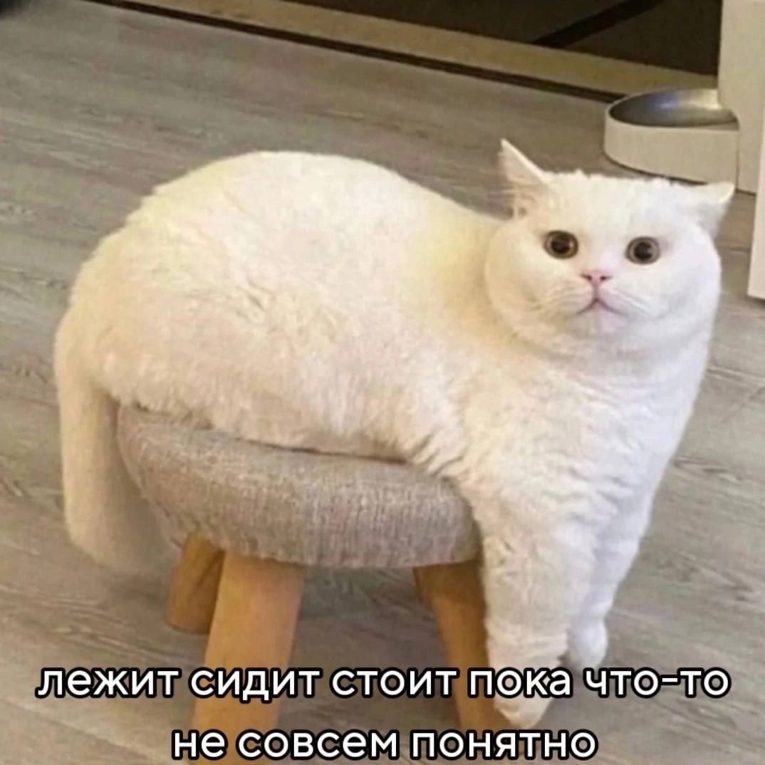 Доброго времени суток!
С вами Радио-Саня ✨
Наступили выходные, а значит самое время выспаться, отдохнуть, закупиться продуктами на новогоднюю ночь, пока всё не раскупили и пока цены не выросли, ххехе
В общем, надеюсь, что выходные у вас пройдут на ура
Удачи!