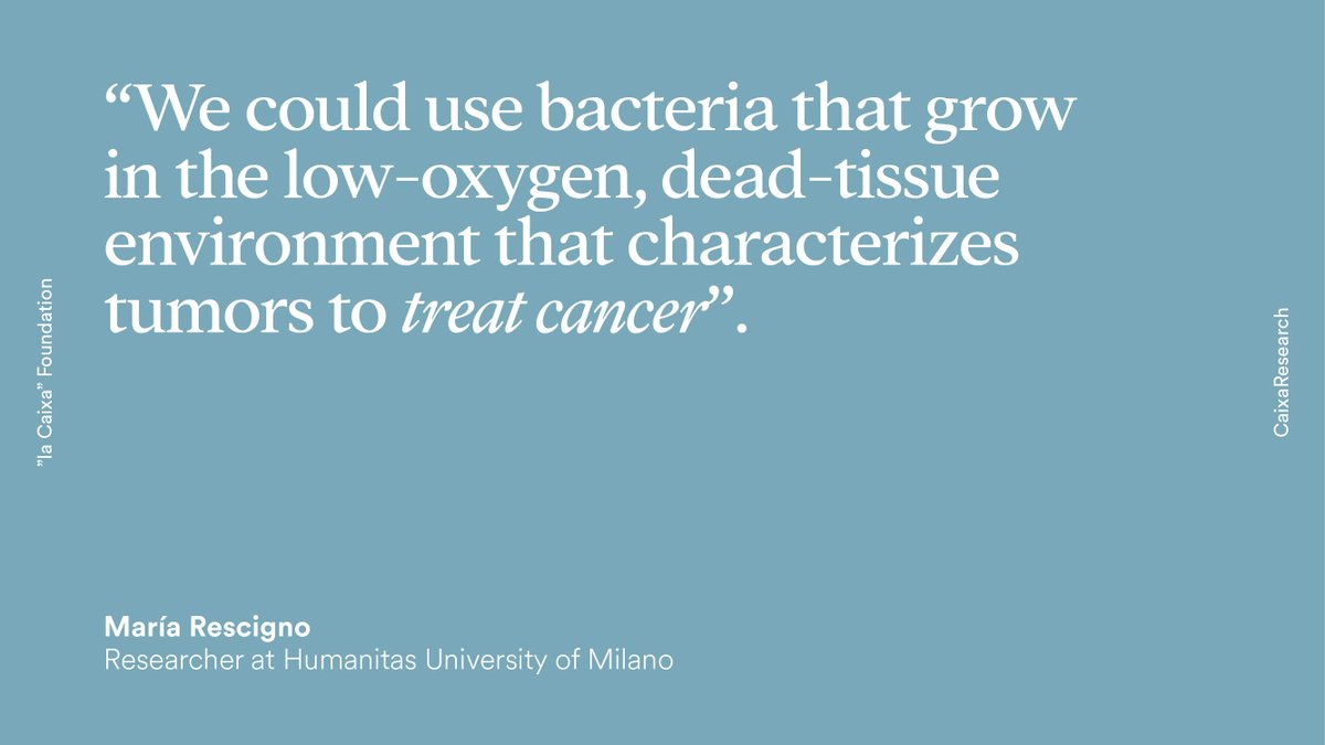 CaixaResearch (@caixaresearch) on Twitter photo Bacteria against cancer?
🦠 There are specific organisms that proliferate in tumor environments 🎯 that could activate defensive responses against cancer.
We discovered it in the #CFM_Metastasis <a href="/CNIOStopCancer/">CNIO Stop Cancer</a>-#CaixaResearch. 👇
🔗 bit.ly/3uBnEL7 Bacteria against cancer?
🦠 There are specific organisms that proliferate in tumor environments 🎯 that could activate defensive responses against cancer.
We discovered it in the #CFM_Metastasis <a href="/CNIOStopCancer/">CNIO Stop Cancer</a>-#CaixaResearch. 👇
🔗 bit.ly/3uBnEL7