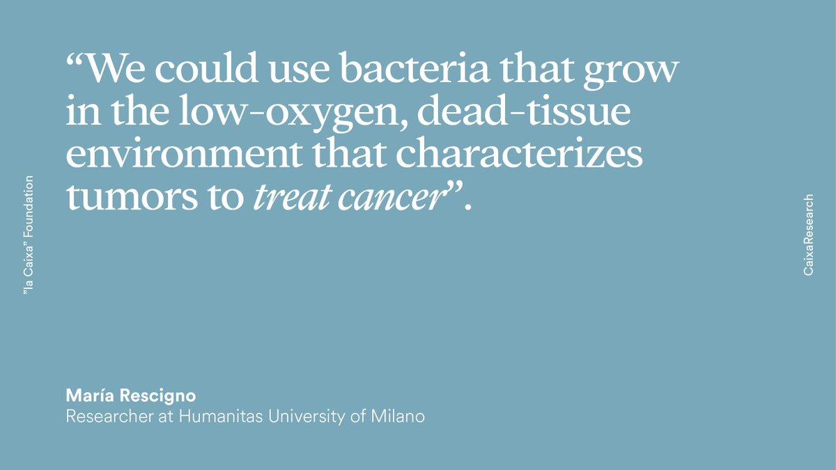 Bacteria against cancer? 🦠 There are specific organisms that proliferate in tumor environments 🎯 that could activate defensive responses against cancer. We discovered it in the #CFM_Metastasis @CNIOStopCancer-#CaixaResearch. 👇 🔗 bit.ly/3uBnEL7