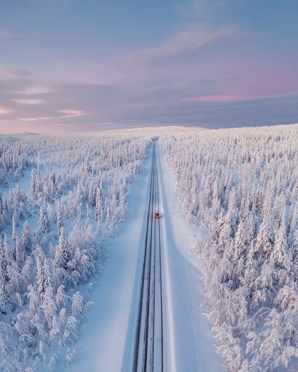 earthcurated tweet picture