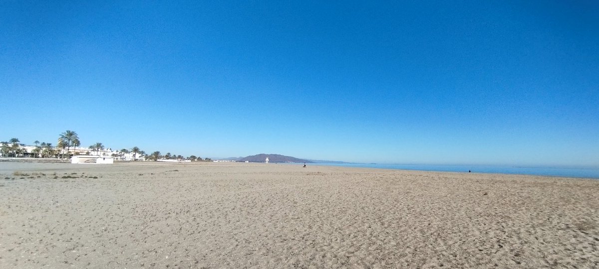 Raul Jimenez Ortega tweet media