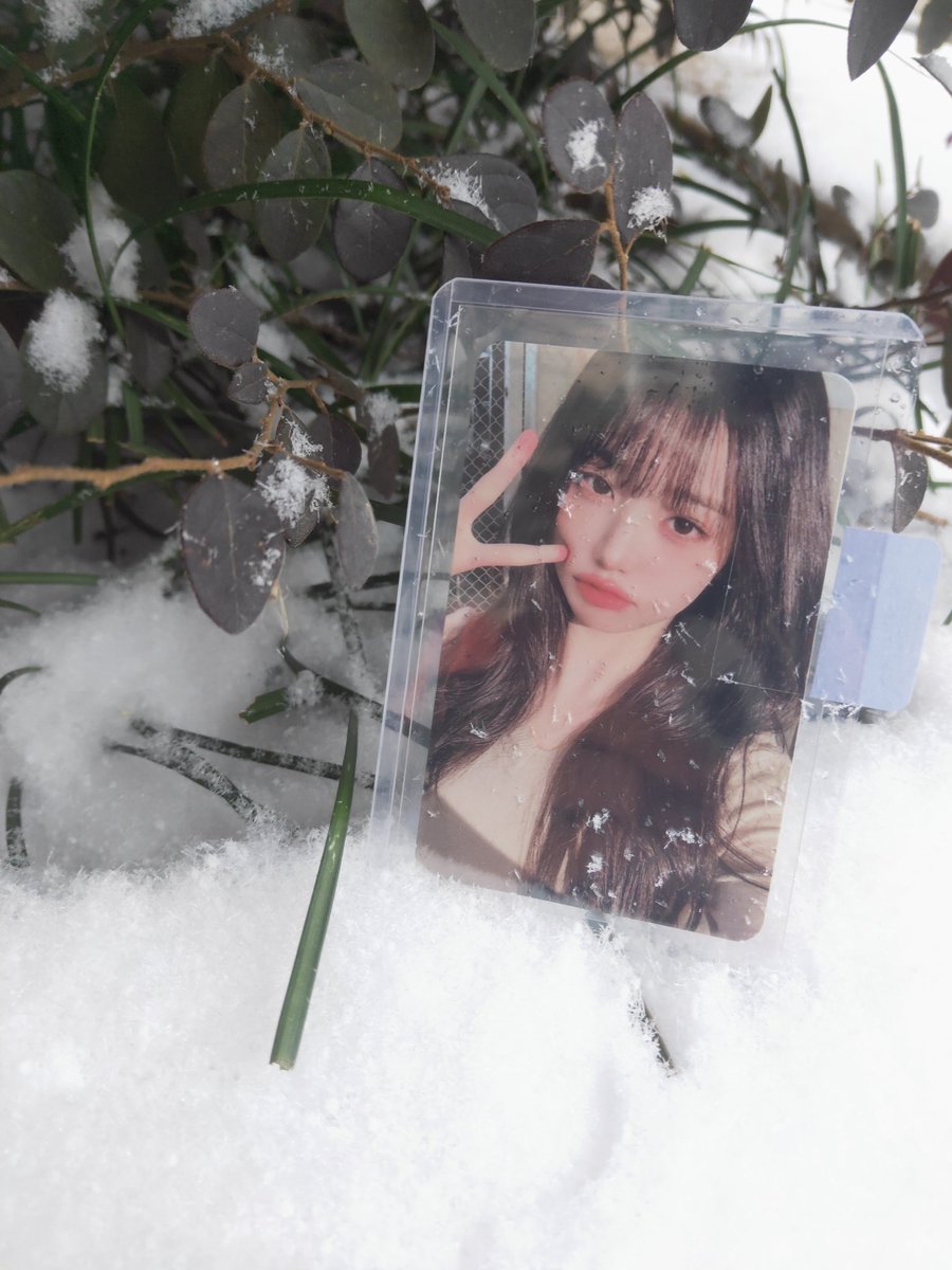 jinzhen92's tweet photo. wonyoung❄️ https://t.co/lsckKgrzyh