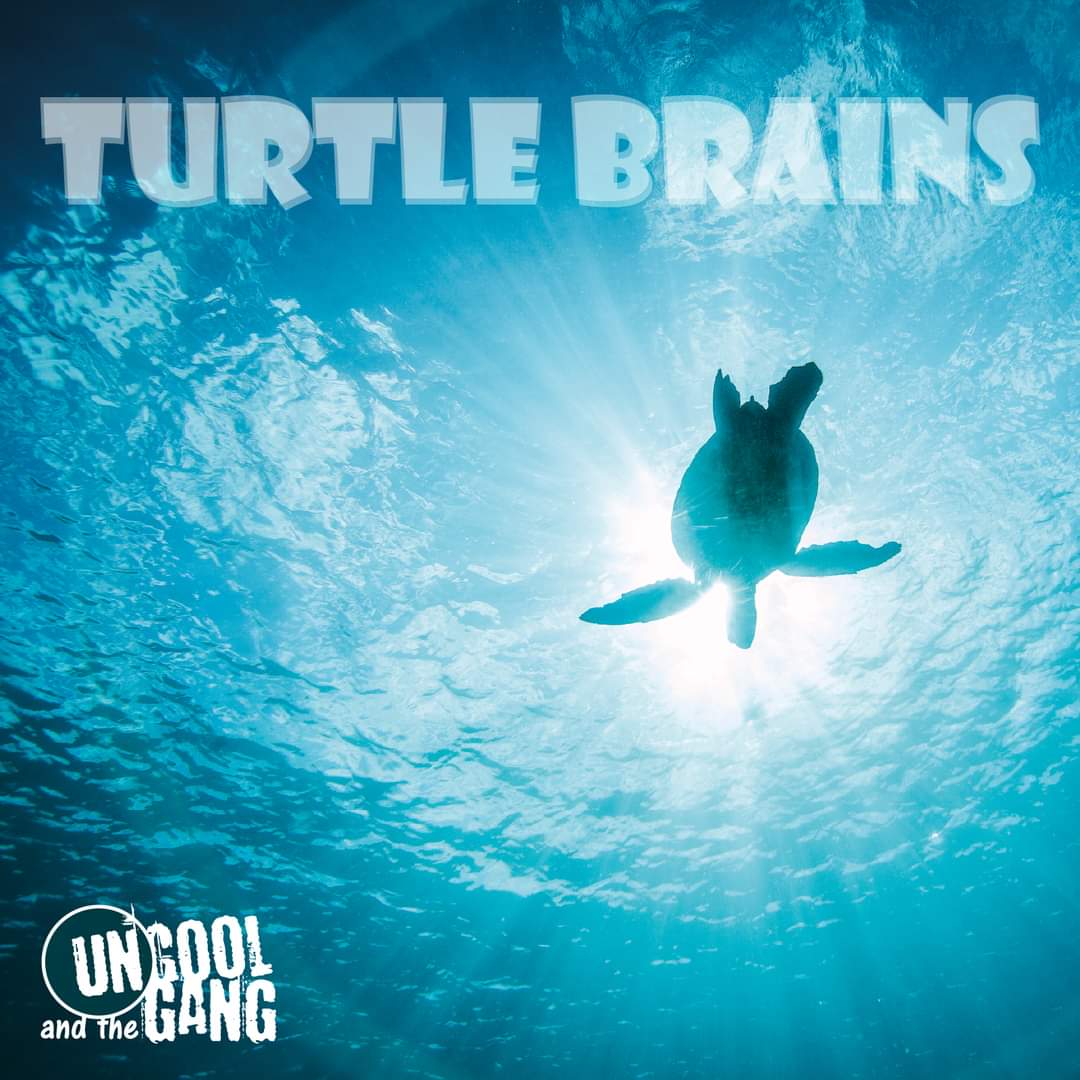 Bløf schopt PR actie Uncool and the Gang in het honderd... Hoe een zeldzame zeeschildpad jamt met onze eerste <a href="/Spotify/">Spotify</a> #release #turtlebrains: lees er alles over op onze site!! 

uncoolandthegang.com/news/blof-scho…