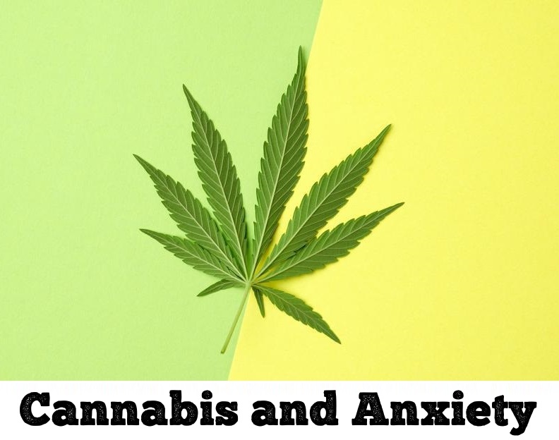 chrisaikenmd's tweet photo. An update on #cannabis and #anxiety. THC raises anxiety, especially in new users. #CBD was once thought to lower anxiety, but newer studies suggest it doesn’t do much at all:
https://t.co/qLrMUN7B1P

Both are in #marijuana, and THC levels are on the rise in modern weed https://t.co/wTOD3P1aQU
