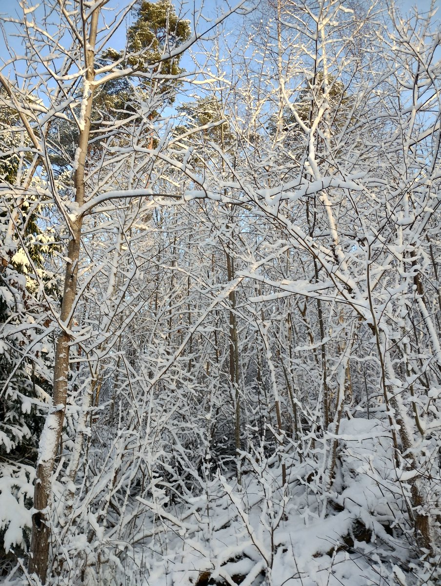 Happy holidays! #MerryChristmas2023