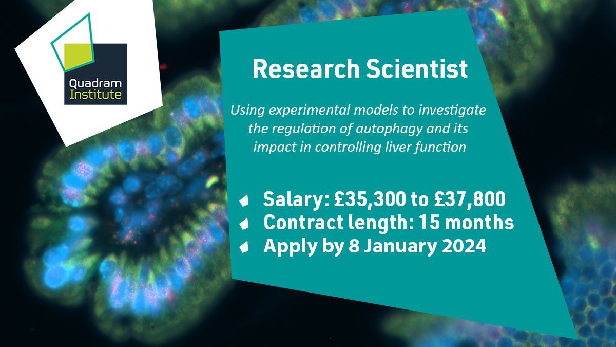 Quadram Institute (@thequadram) on Twitter photo Would you like to use experimental models to investigate the regulation of autophagy and its impact in controlling liver function?🔬
Check out our current vacancy in <a href="/BerazaLab/">Beraza Lab</a> ⤵️
💷 £35,300 to £37,800
🗓️ Apply by 8 January 2024
➡️ buff.ly/3sX4izV Would you like to use experimental models to investigate the regulation of autophagy and its impact in controlling liver function?🔬
Check out our current vacancy in <a href="/BerazaLab/">Beraza Lab</a> ⤵️
💷 £35,300 to £37,800
🗓️ Apply by 8 January 2024
➡️ buff.ly/3sX4izV