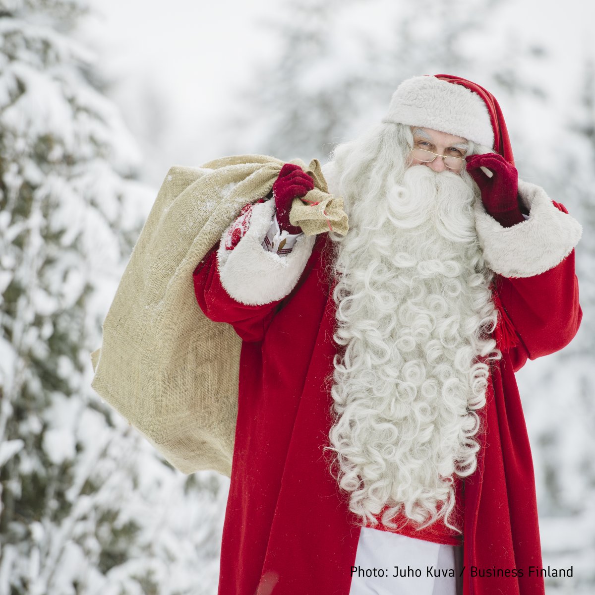 thisisFINLAND tweet media