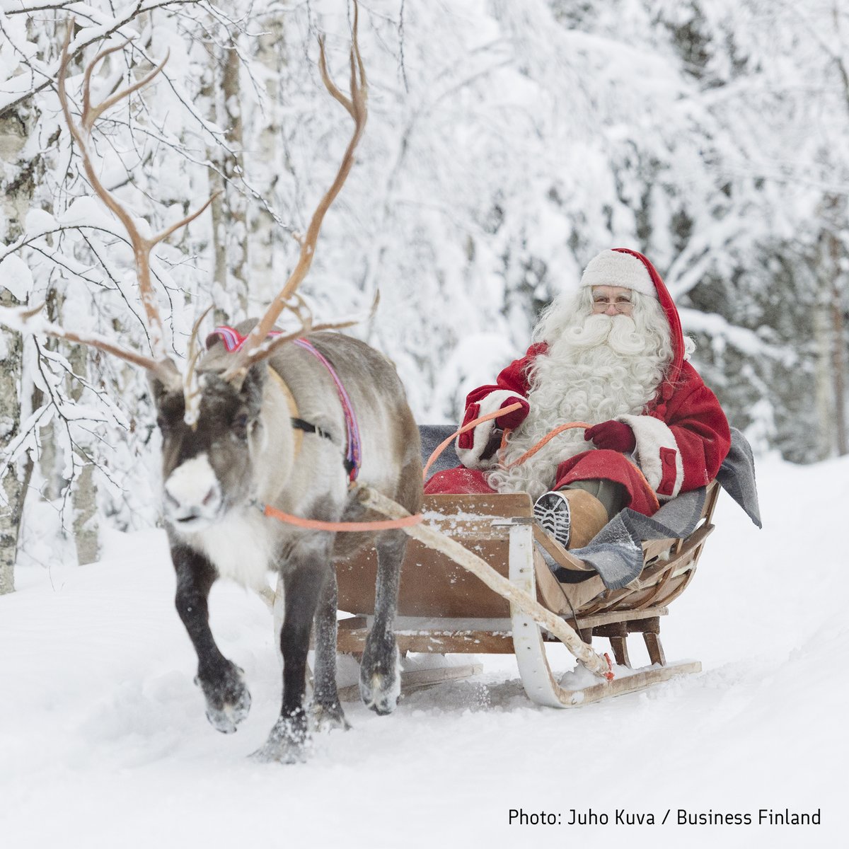 thisisFINLAND tweet media