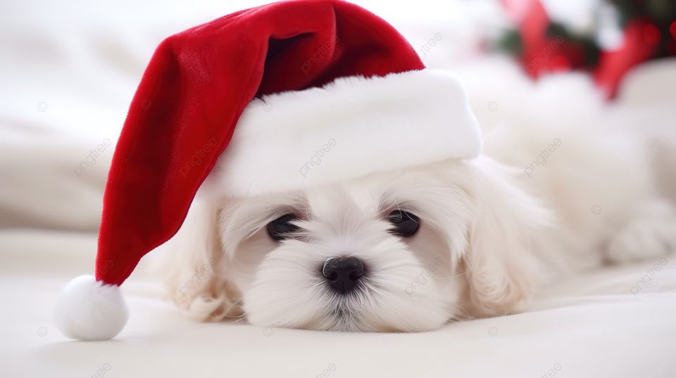 Buitengebieden tweet media