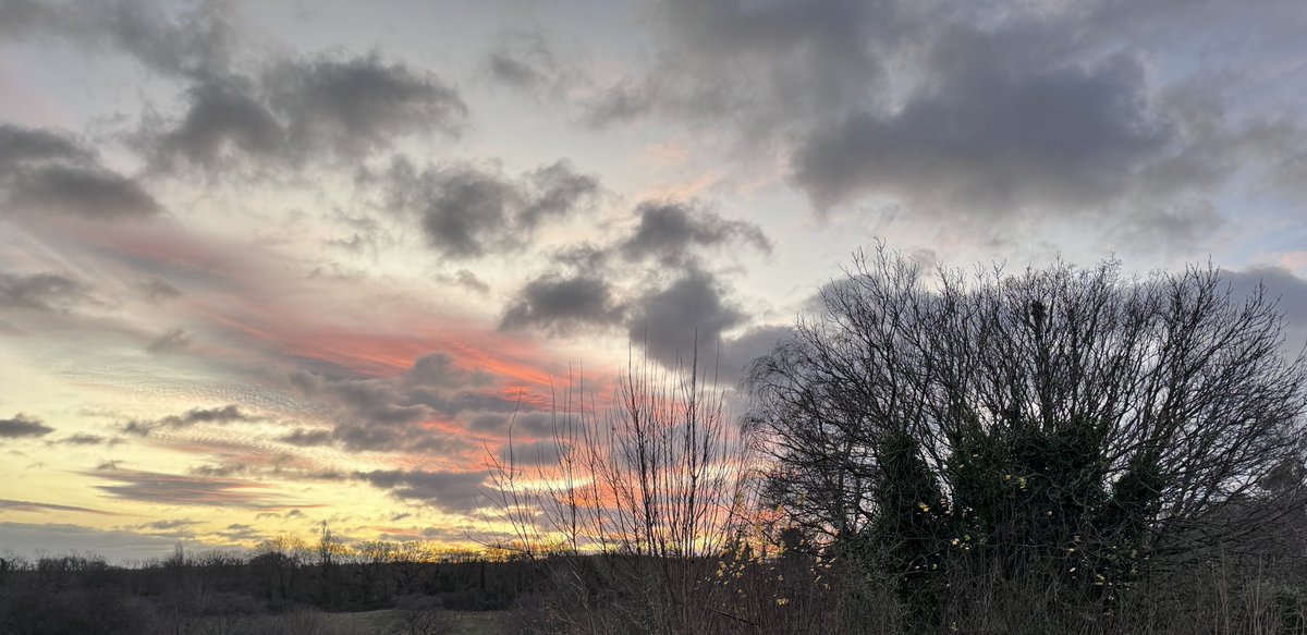 Dramatic Sussex sky this morning. Off to walk Ziggy…