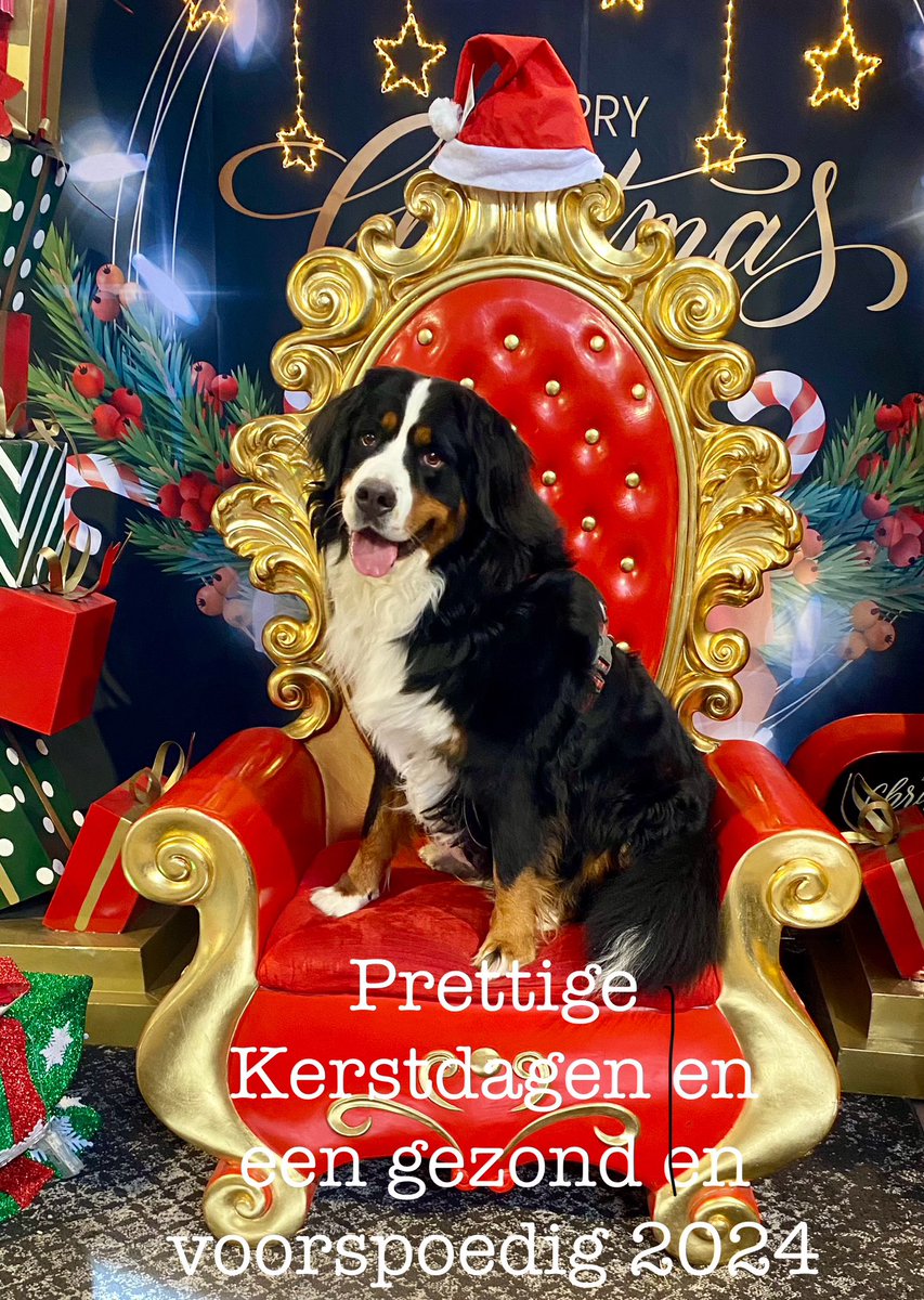 Voor alle volgers fijne Kerstdagen en een gezond en voorspoedig 2024