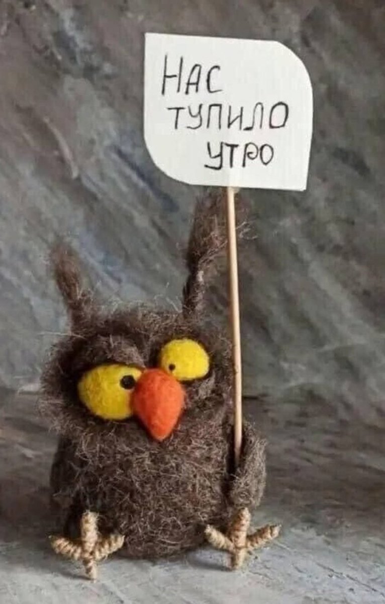Ёшкин кот v2.0 (@01neansfdsx0dea) on Twitter photo 
