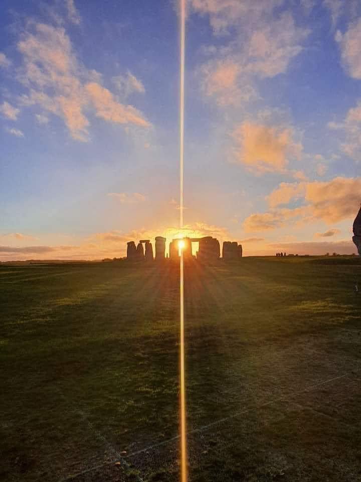 Emmy van Deurzen☀️🌍 🌻🌹🌳🐕⭐️🌙 tweet media