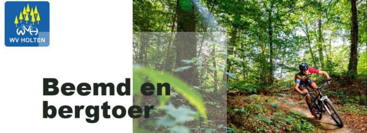 wvholten tweet media