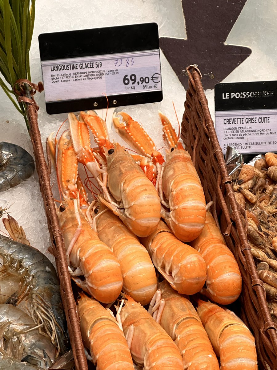 Erwan LEON tweet media