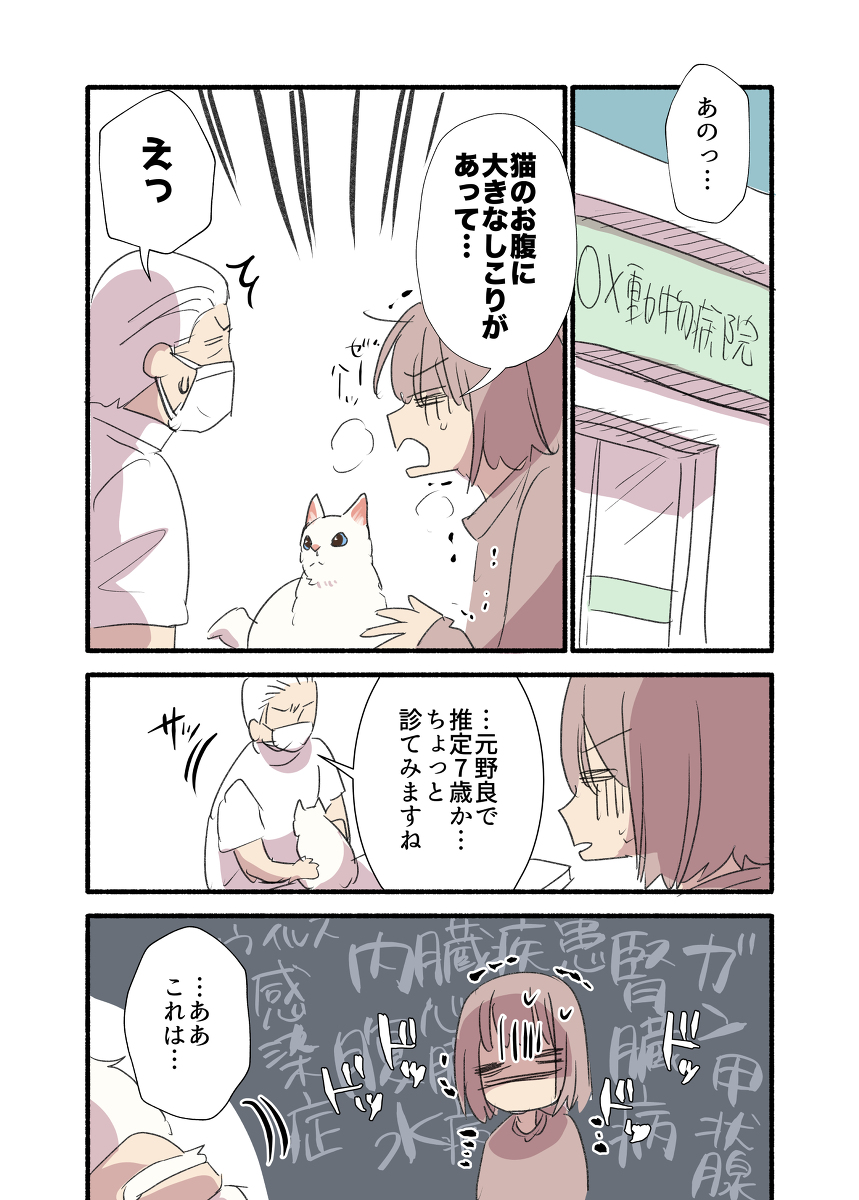 年末、飼い猫のお腹にしこりが見つかった話(2/2)
#漫画が読めるハッシュタグ
みんなも定期的にペットを撫でくりまわして異常がないかチェックしようね🫶
📕#愛されたがりの白猫ミコさん 書籍発売中‼️詳細は👇
https://t.co/946gcriaEO