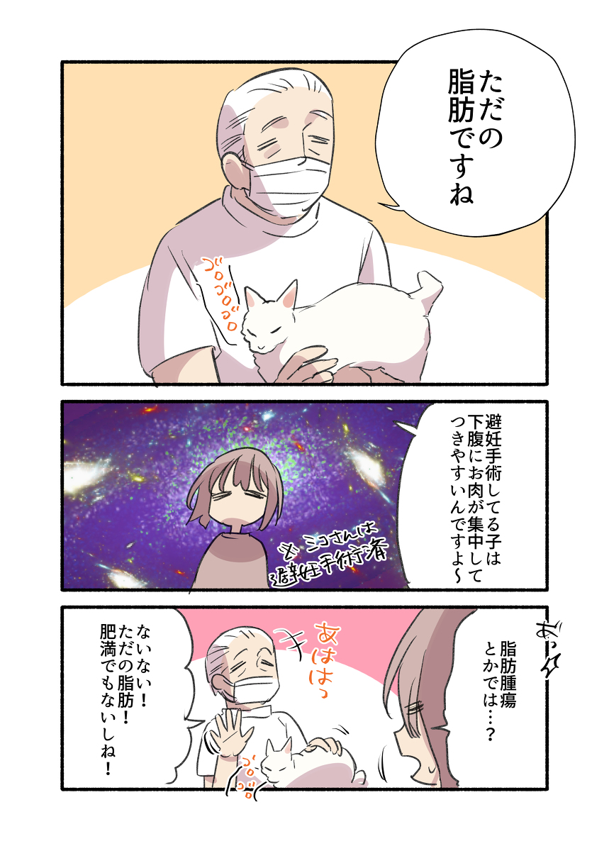 年末、飼い猫のお腹にしこりが見つかった話(2/2)
#漫画が読めるハッシュタグ
みんなも定期的にペットを撫でくりまわして異常がないかチェックしようね🫶
📕#愛されたがりの白猫ミコさん 書籍発売中‼️詳細は👇
https://t.co/946gcriaEO