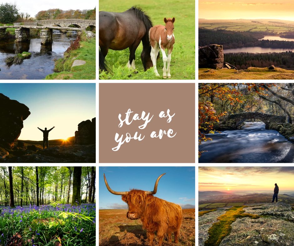 higherlongford's tweet photo. Higher Longford Cottages Tavistock in Devon.  5 Stone built cottages. All well equipped for your holiday.

📱Free WiFi
🐶Dogs welcome free.
🌿Secure gardens
🚲Secure bicycle storage
👩5 Cottages - 2 to 6 berth
🛌Super king and ensuite rooms
#dartmoor #higherlongford #visitdevon https://t.co/ozPnk3vrzU