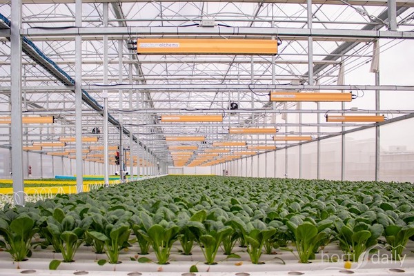 Vertical Farm Daily (@vfdaily) on Twitter photo Kew experts predict horticulture trends for 2024
verticalfarmdaily.com/article/958834… Kew experts predict horticulture trends for 2024
verticalfarmdaily.com/article/958834…