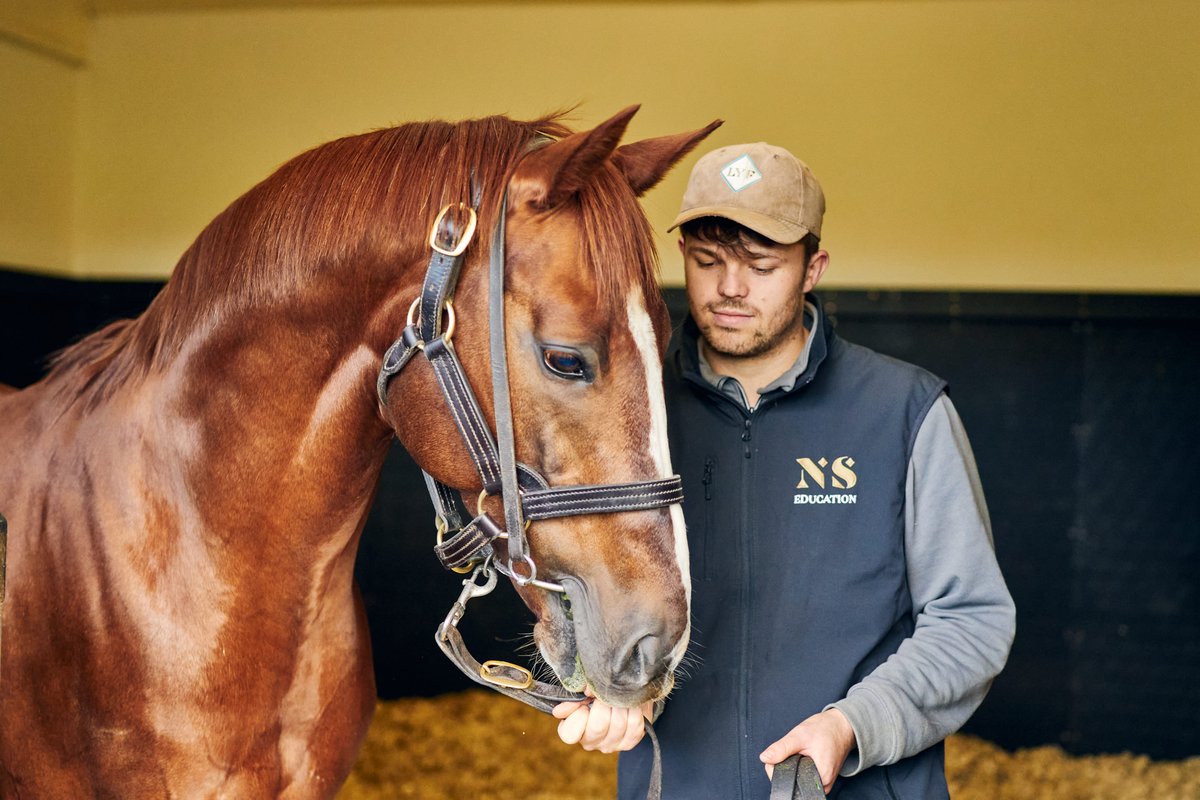 "I completed my placement with Clare Manning’s Boherguy Stud and was utterly taken aback by the pressure of selling young stock; years of hard work culminated in seconds in the sales ring."

Matt Daubeney on the National Stud's educational opportunities 👉 bit.ly/48xjEKz