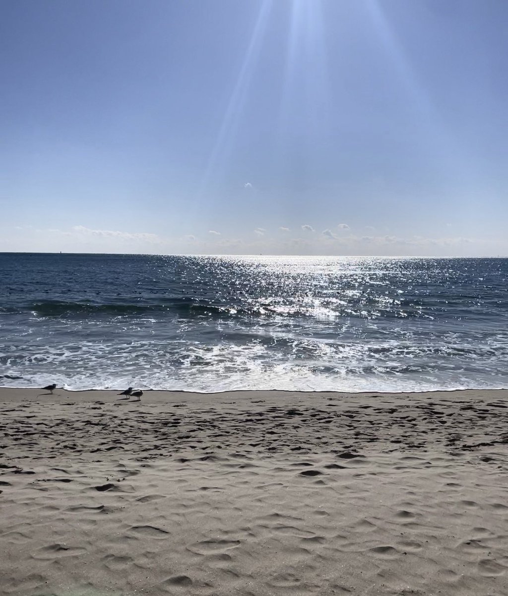purippang's tweet photo. 바다가..보여
푸르게빛나는🌊 https://t.co/b5rQovtxTp