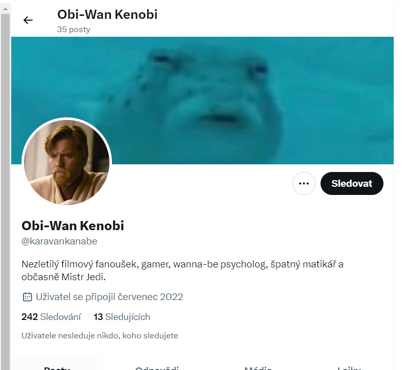 Surikata_aura tweet media