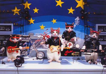 ♡ (@day6ascat6) on Twitter photo 