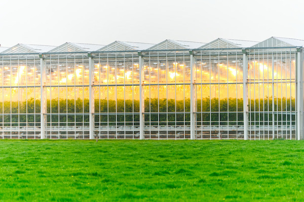 Vertical Farm Daily (@vfdaily) on Twitter photo Using generative AI and synthetic data to drive plant growth
verticalfarmdaily.com/article/958801… Using generative AI and synthetic data to drive plant growth
verticalfarmdaily.com/article/958801…