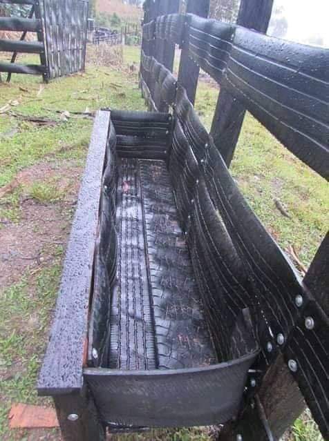 kofi_rawlings's tweet photo. #RecyclingTip: Did you know that you can use old tyres to make durable and eco-friendly cattle fencing? Check out these amazing examples from other farms. #GreenFarming #SustainableLiving #Innovation #agribusinesstalk https://t.co/ZWFDLLyNBU