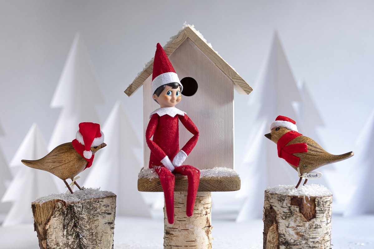 "What do they sing at a snowman’s birthday party? Freeze a jolly good fellow!"

Our Christmas Birds have loved hearing Elf's Christmas jokes!

#christmas