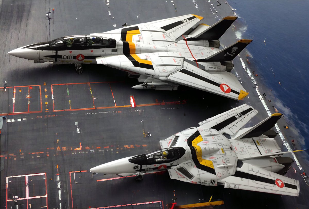 2つ揃ったら写真撮るやん ＃F14トムキャット ＃VF1Sバルキリー