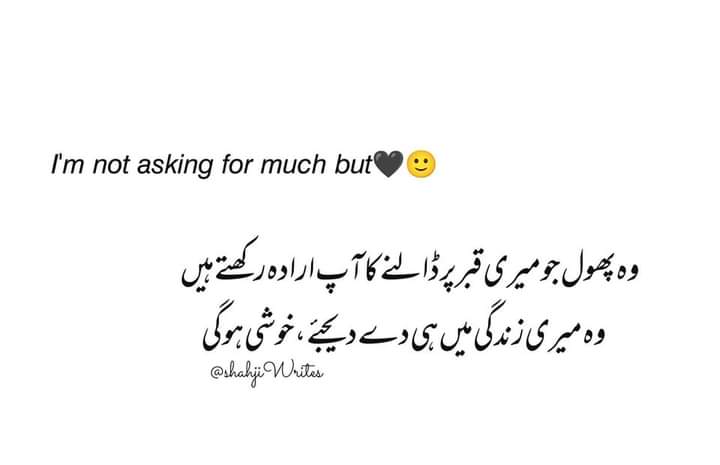 shahzaib0331's tweet photo. 🖤✨🌸 https://t.co/LsrhNQDCMR