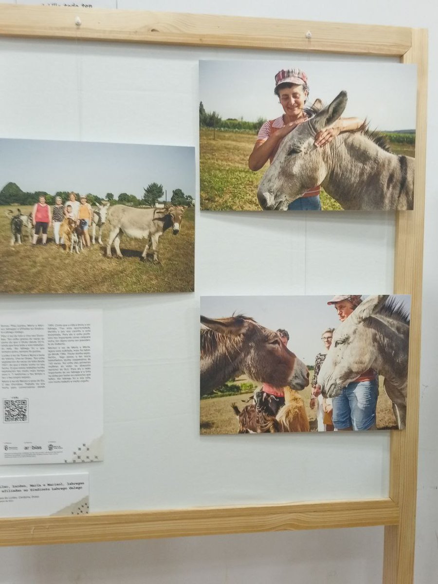 SLG_labregxs's tweet photo. 📸O SLG estivo presente onte na inauguración da exposición fotográfica de #EspadEla, no @MuseodoPobo, en Compostela, onde 58 mulleres expresan múltiples realidades que existen no rural galego. As imaxes foron tiradas por #CharoLopes, xornalista e fotógrafa boirense 👏👭 https://t.co/TVSKqOHQQL