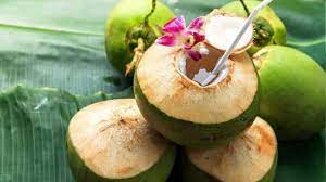 Nationalthoughs's tweet photo. Coconut Water Benefits : जानें रोजाना सुबह खाली पेट नारियल पानी पीने के फायदे
#CoconutWaterBenefits
#healthcare 
#HealthTips 
https://t.co/bFSuAowHhL https://t.co/ZaZBFwEHo3