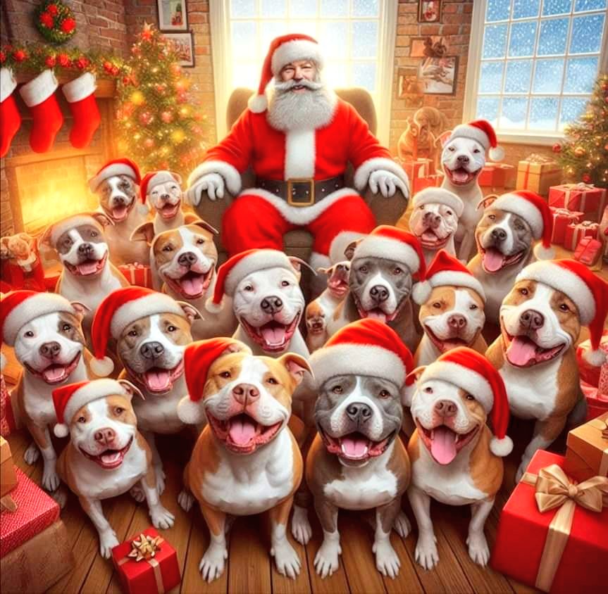SeniorStaffy's tweet photo. Just seen this picture on FB 😍 and thought I'd share this #staffiesaturday ❤️🐾❤️ https://t.co/whWMiP3woo